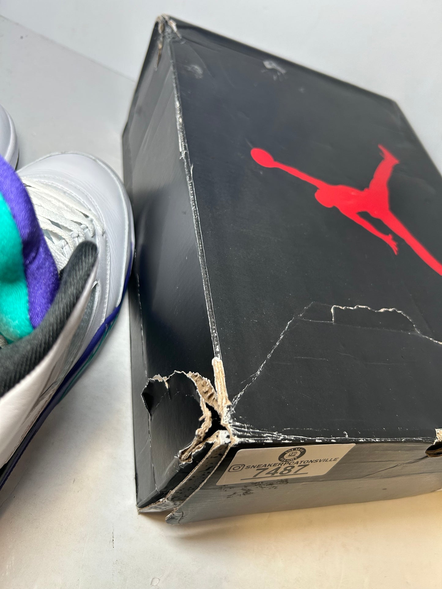 Air Jordan 5 Retro 2025 Grape (Pre-Owned)
