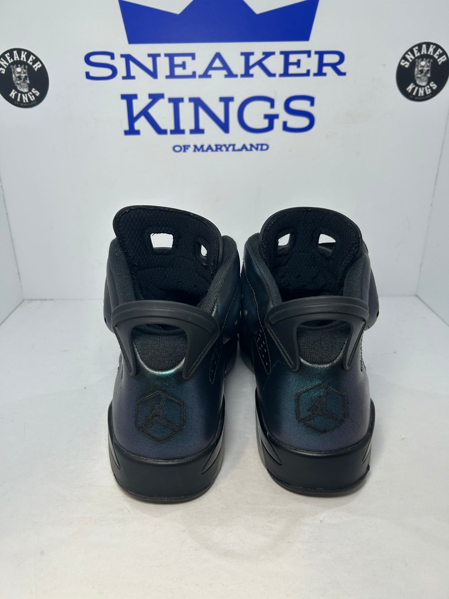 Air Jordan 6 Retro All Star Chameleon (Pre-Owned)