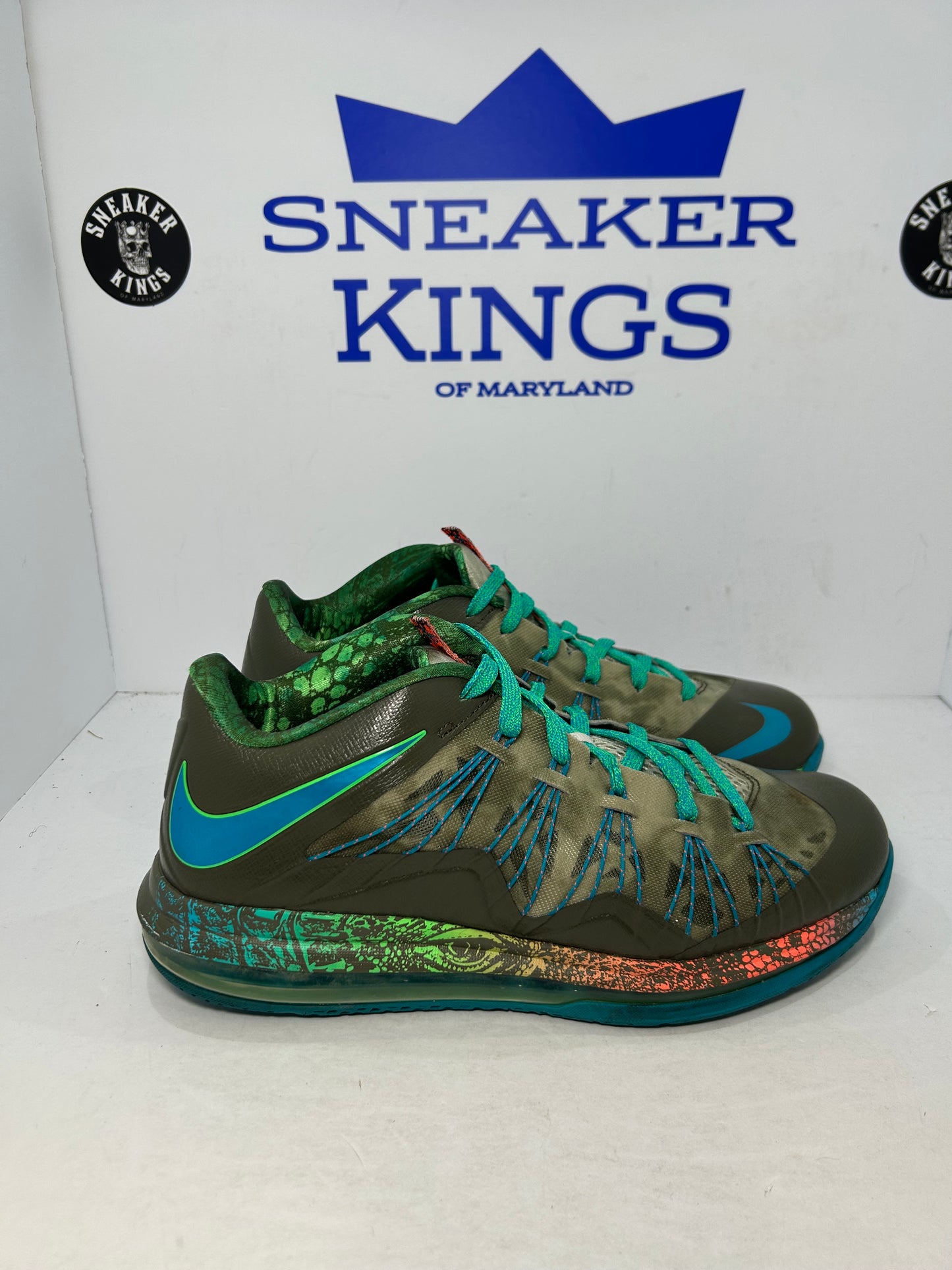 Nike LeBron 10 Low Swamp Thing (Pre-Owned)