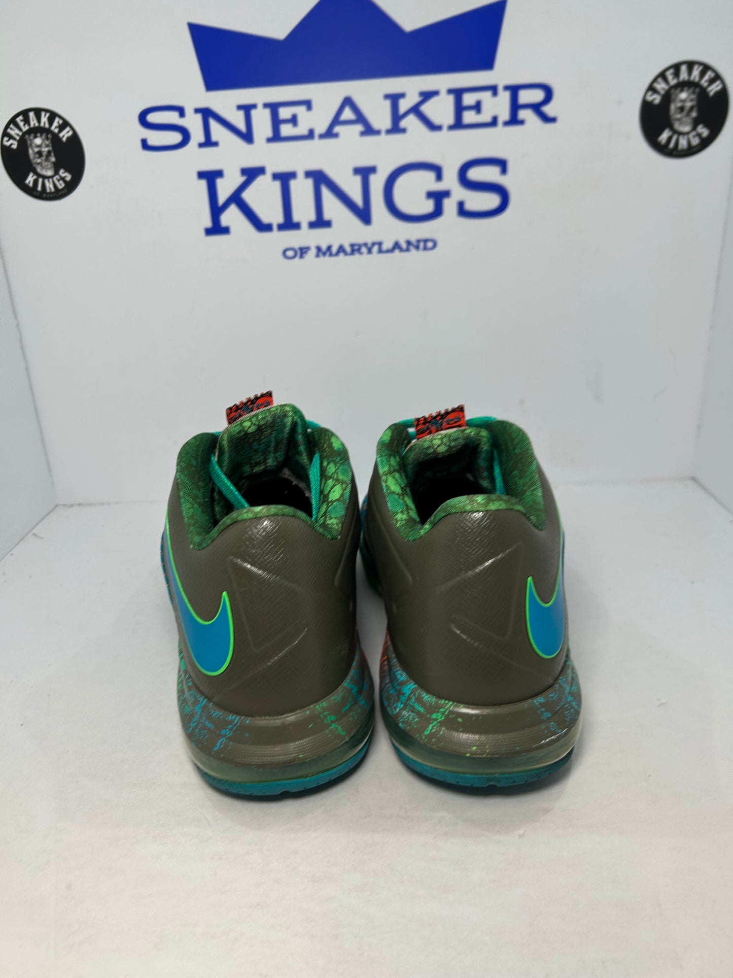 Nike LeBron 10 Low Swamp Thing (Pre-Owned)
