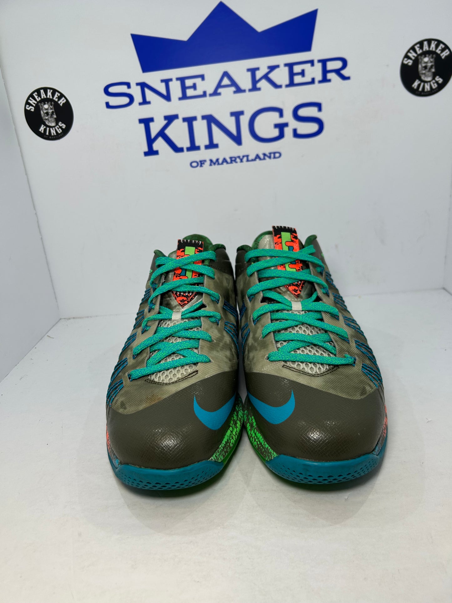 Nike LeBron 10 Low Swamp Thing (Pre-Owned)