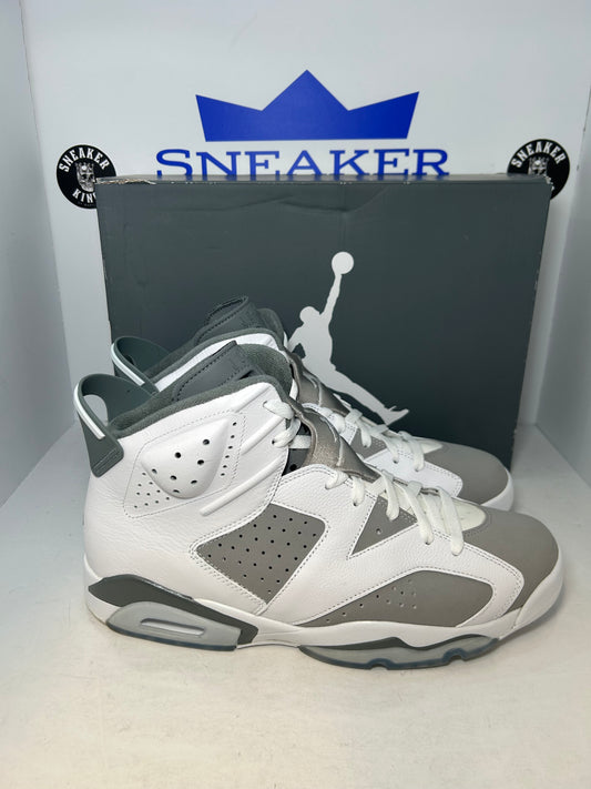 Air Jordan 6 Retro Cool Grey (Pre-Owned)