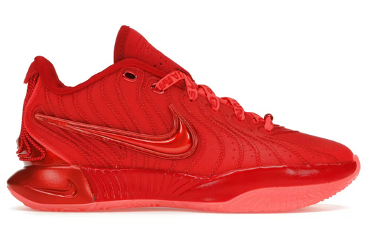 Nike LeBron 21 James Gang
